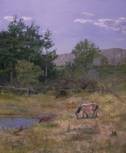 Pasture