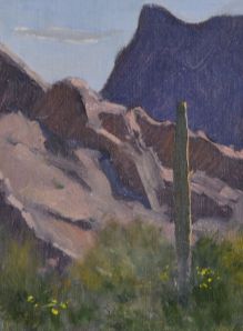 Sonoran Study 1