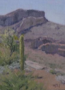 Sonoran Study 2