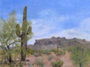 Sonoran Study 3